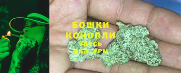 соль ск Осинники