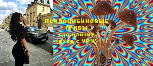 соль ск Осинники