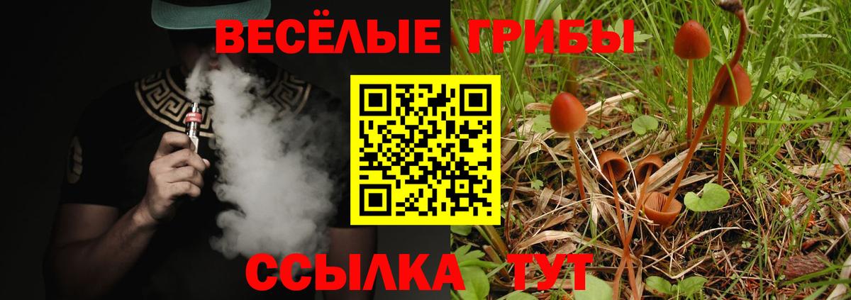 Псилоцибиновые грибы ЛСД  Галлюциногенные грибы MAGIC MUSHROOMS  Родники  Вход с VPN 
