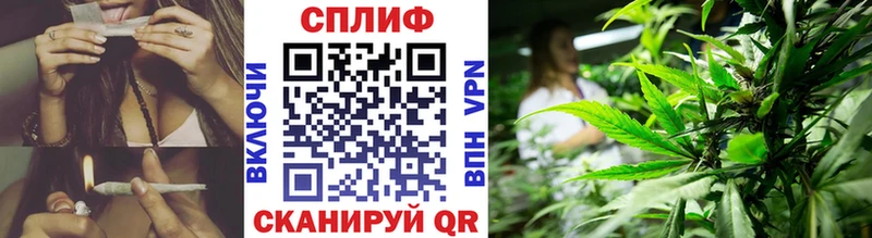 Канабис OG Kush Родники